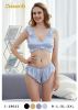 Picture of women's lingerie